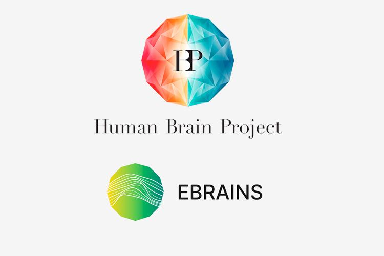 Brain project. Human Brain Project логотип. Проект мозг Радевич. БРУ Брейн Проджект. Brain Project XL.